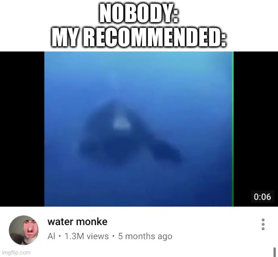 monke | NOBODY:
MY RECOMMENDED: | image tagged in memes,funny,youtube,wtf,confused | made w/ Imgflip meme maker