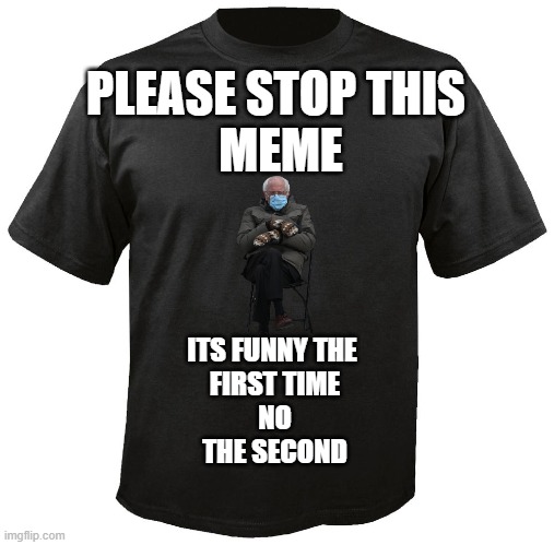 please stop | PLEASE STOP THIS
 MEME; ITS FUNNY THE 
FIRST TIME
NO
THE SECOND | image tagged in blank t-shirt | made w/ Imgflip meme maker
