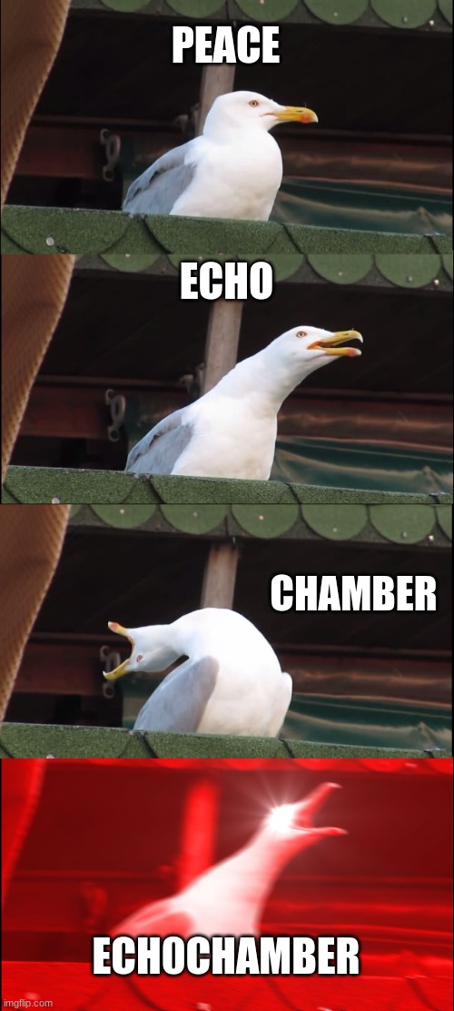 Inhaling Seagull Meme | PEACE; ECHO; CHAMBER; ECH0CHAMBER | image tagged in memes,inhaling seagull | made w/ Imgflip meme maker