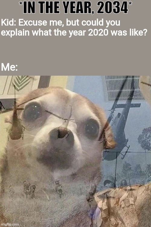 2020 gives me the chihuahua shivers | *IN THE YEAR, 2034*; Kid: Excuse me, but could you explain what the year 2020 was like? Me: | image tagged in memes,fun,dogs,2020,2020 sucks,coronavirus | made w/ Imgflip meme maker