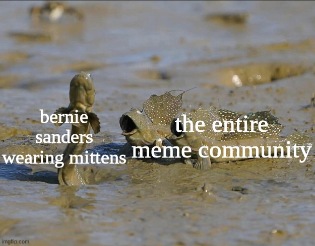 Pog Mudskippers | the entire meme community; bernie sanders wearing mittens | image tagged in pog mudskippers | made w/ Imgflip meme maker