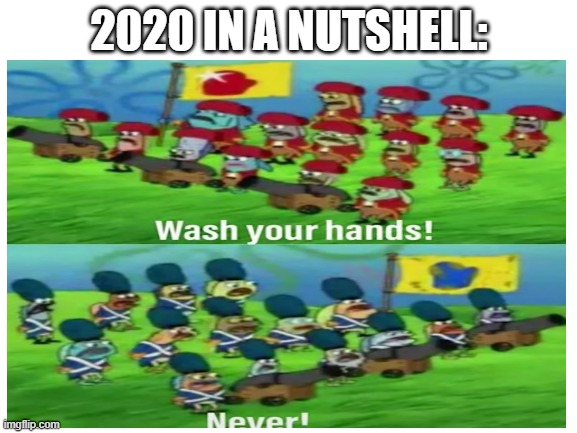 2020 IN A NUTSHELL: | image tagged in wash your hands | made w/ Imgflip meme maker