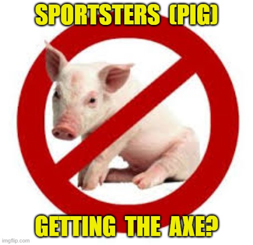 SPORTSTERS  (PIG); GETTING  THE  AXE? | image tagged in motorcycles | made w/ Imgflip meme maker
