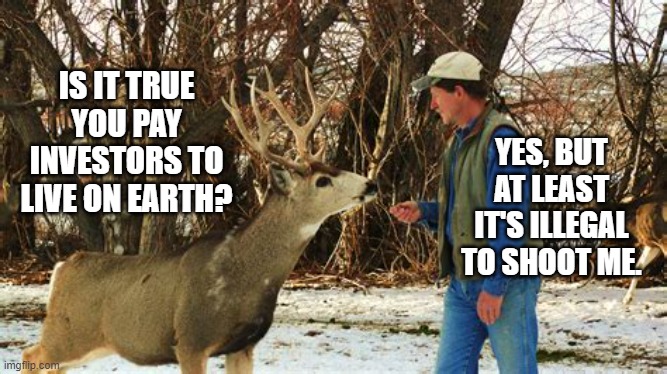 Deer Meets Man |  IS IT TRUE YOU PAY INVESTORS TO LIVE ON EARTH? YES, BUT AT LEAST IT'S ILLEGAL TO SHOOT ME. | image tagged in economics,ecology,environment,politics | made w/ Imgflip meme maker