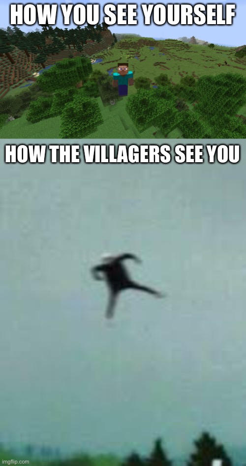 *wheeze* | HOW YOU SEE YOURSELF; HOW THE VILLAGERS SEE YOU | made w/ Imgflip meme maker