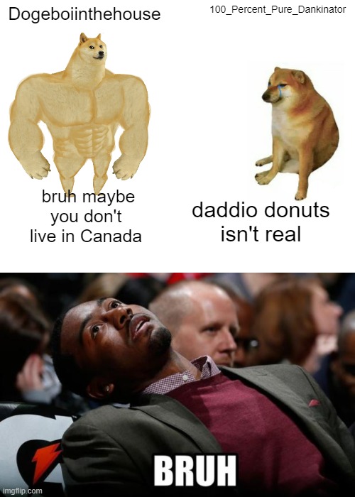 Dogeboiinthehouse; 100_Percent_Pure_Dankinator; bruh maybe you don't live in Canada; daddio donuts isn't real | image tagged in memes,buff doge vs cheems,bruh,donuts,doge 2,e | made w/ Imgflip meme maker