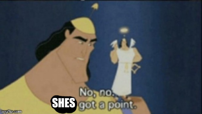 no no hes got a point | SHES | image tagged in no no hes got a point | made w/ Imgflip meme maker