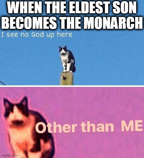 Hail pole cat | WHEN THE ELDEST SON
BECOMES THE MONARCH | image tagged in hail pole cat | made w/ Imgflip meme maker