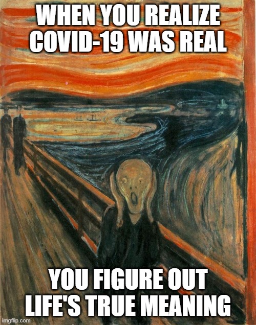 Scream Painting | WHEN YOU REALIZE COVID-19 WAS REAL; YOU FIGURE OUT LIFE'S TRUE MEANING | image tagged in scream painting | made w/ Imgflip meme maker
