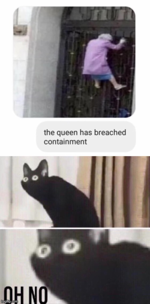 Why do I hear boss music | image tagged in oh no cat,queen elizabeth,memes | made w/ Imgflip meme maker