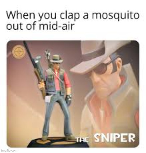 The sniper | image tagged in the sniper tf2 meme,tf2 | made w/ Imgflip meme maker