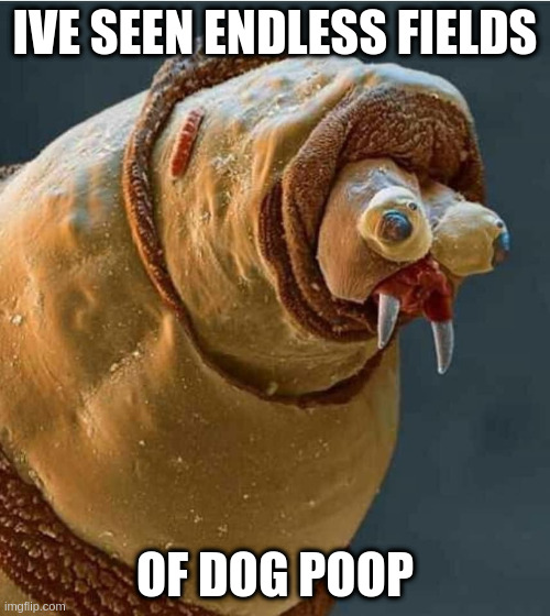 ive seen some shit | IVE SEEN ENDLESS FIELDS; OF DOG POOP | image tagged in ptsd maggot,ptsd,gross,funny,dog poop | made w/ Imgflip meme maker