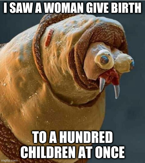 child birth is gross | I SAW A WOMAN GIVE BIRTH; TO A HUNDRED CHILDREN AT ONCE | image tagged in ptsd maggot,ptsd,funny,pregnancy,gross | made w/ Imgflip meme maker