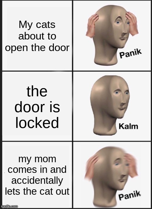 Panik Kalm Panik | My cats about to open the door; the door is locked; my mom comes in and accidentally lets the cat out | image tagged in memes,panik kalm panik | made w/ Imgflip meme maker