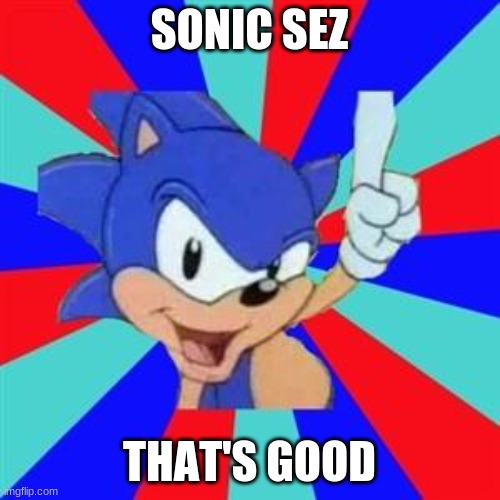 Sonic sez | SONIC SEZ THAT'S GOOD | image tagged in sonic sez | made w/ Imgflip meme maker