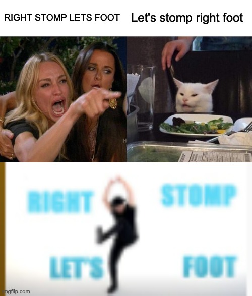 RIGHT STOMP LETS FOOT; Let's stomp right foot | image tagged in memes,woman yelling at cat | made w/ Imgflip meme maker