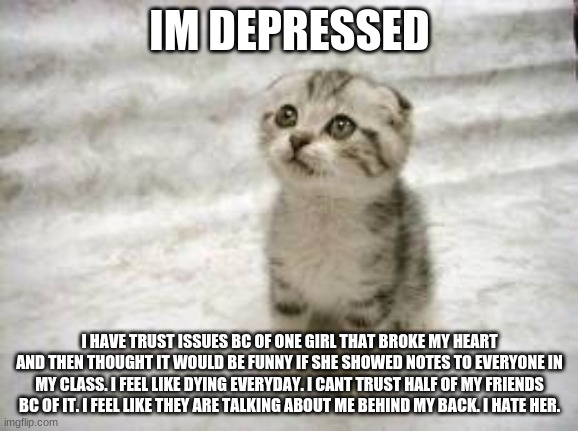 Sad Cat | IM DEPRESSED; I HAVE TRUST ISSUES BC OF ONE GIRL THAT BROKE MY HEART AND THEN THOUGHT IT WOULD BE FUNNY IF SHE SHOWED NOTES TO EVERYONE IN MY CLASS. I FEEL LIKE DYING EVERYDAY. I CANT TRUST HALF OF MY FRIENDS BC OF IT. I FEEL LIKE THEY ARE TALKING ABOUT ME BEHIND MY BACK. I HATE HER. | image tagged in memes,sad cat | made w/ Imgflip meme maker