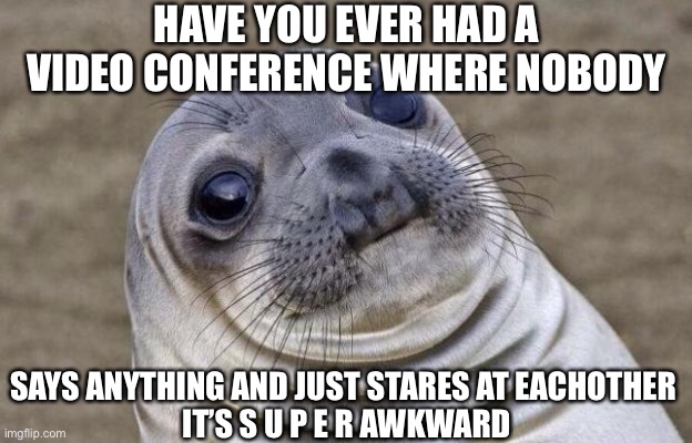 Awkward silence intensifies | HAVE YOU EVER HAD A VIDEO CONFERENCE WHERE NOBODY; SAYS ANYTHING AND JUST STARES AT EACHOTHER 
IT’S S U P E R AWKWARD | image tagged in memes,awkward moment sealion | made w/ Imgflip meme maker