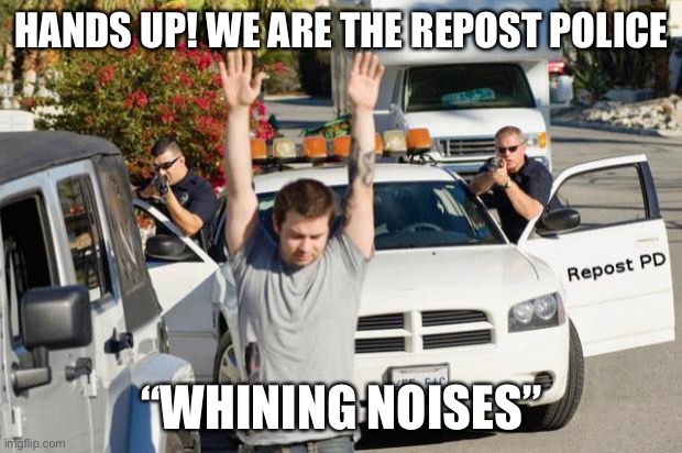 Repost Police | HANDS UP! WE ARE THE REPOST POLICE “WHINING NOISES” | image tagged in repost police | made w/ Imgflip meme maker