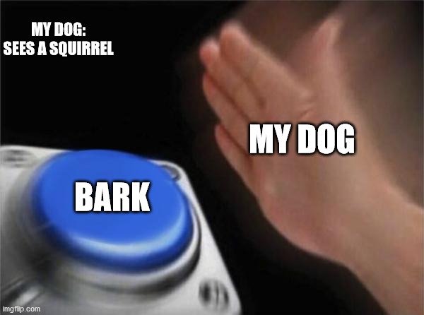 Blank Nut Button | MY DOG: SEES A SQUIRREL; MY DOG; BARK | image tagged in memes,blank nut button | made w/ Imgflip meme maker