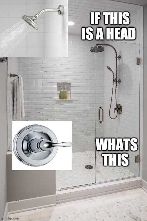 Shower thoughts | IF THIS IS A HEAD; WHATS THIS | image tagged in shower thoughts | made w/ Imgflip meme maker