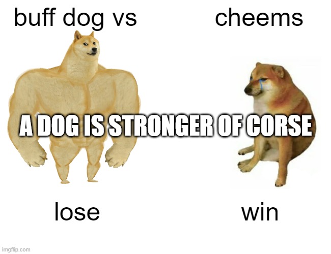 Buff Doge vs. Cheems Meme | buff dog vs; cheems; A DOG IS STRONGER OF CORSE; lose; win | image tagged in memes,buff doge vs cheems | made w/ Imgflip meme maker
