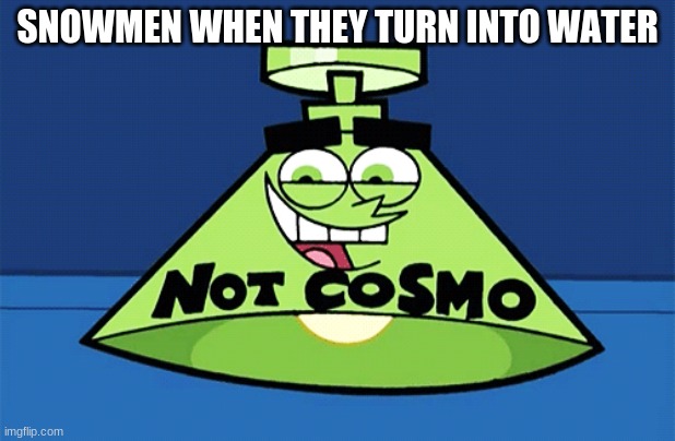 not Cosmo lamp | SNOWMEN WHEN THEY TURN INTO WATER | image tagged in not cosmo lamp | made w/ Imgflip meme maker