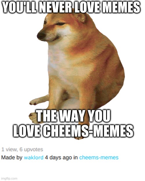 All the upvotes go to Cheems! | YOU'LL NEVER LOVE MEMES; THE WAY YOU LOVE CHEEMS-MEMES | image tagged in cheems,ad,advertisement,cheems-memes | made w/ Imgflip meme maker