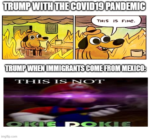 Blank White Template | TRUMP WITH THE COVID19 PANDEMIC; TRUMP WHEN IMMIGRANTS COME FROM MEXICO: | image tagged in blank white template | made w/ Imgflip meme maker