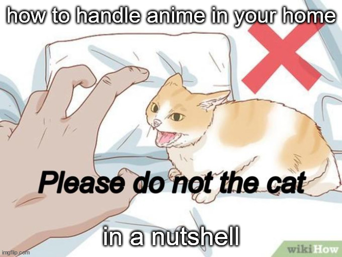 true story | how to handle anime in your home; in a nutshell | image tagged in anime,cat,wikihow,please do not the cat,drawn like anime i guess lol idk,if this gets featured i might cry a bit | made w/ Imgflip meme maker