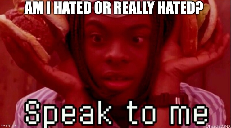 Speak to me ratas | AM I HATED OR REALLY HATED? | image tagged in ratas,yes i k is snpanish | made w/ Imgflip meme maker