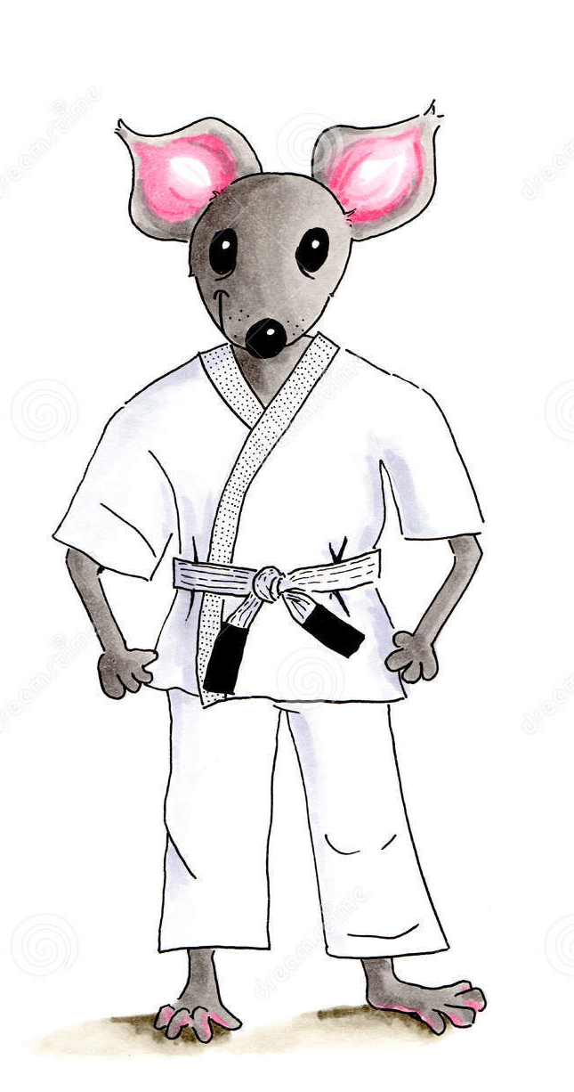 High Quality Judo Rat Mouse Blank Meme Template