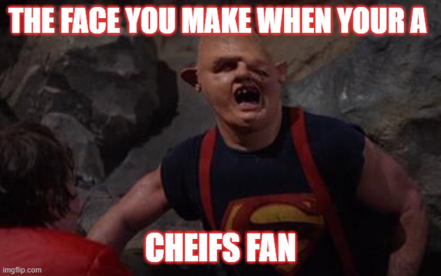 NFL Memes | THE FACE YOU MAKE WHEN YOUR A; CHEIFS FAN | image tagged in nfl memes | made w/ Imgflip meme maker