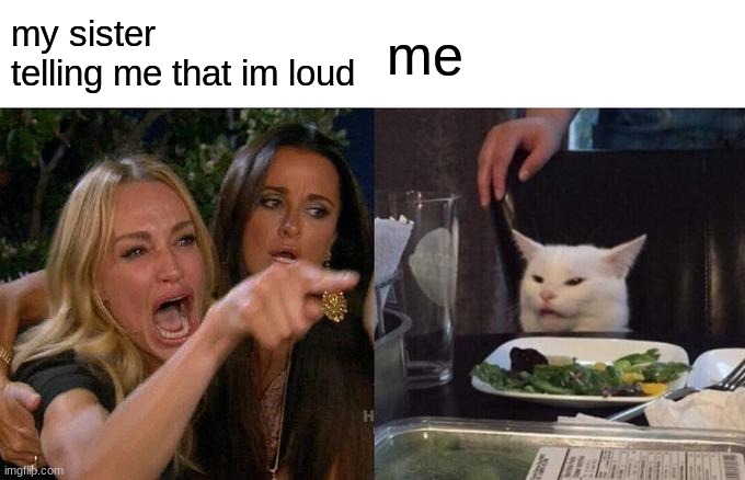 meh | my sister telling me that im loud; me | image tagged in memes,woman yelling at cat | made w/ Imgflip meme maker