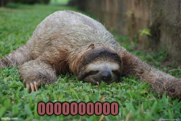 Sleeping sloth | OOOOOOOOOO | image tagged in sleeping sloth | made w/ Imgflip meme maker
