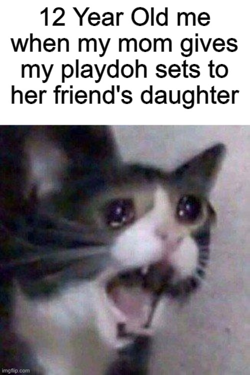 Cat Screaming | 12 Year Old me when my mom gives my playdoh sets to her friend's daughter | image tagged in cat screaming | made w/ Imgflip meme maker