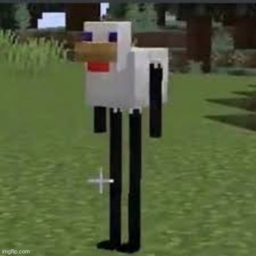 the chicken enderman | image tagged in the chicken enderman | made w/ Imgflip meme maker