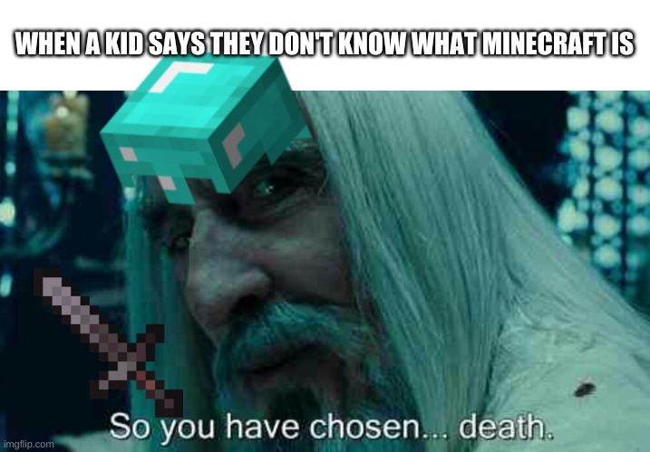 everybody knows minecraft even if you never played it | WHEN A KID SAYS THEY DON'T KNOW WHAT MINECRAFT IS | image tagged in so you have chosen death,minecraft | made w/ Imgflip meme maker