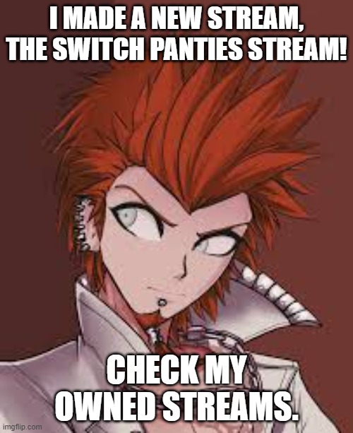 I MADE A NEW STREAM, THE SWITCH PANTIES STREAM! CHECK MY OWNED STREAMS. | made w/ Imgflip meme maker