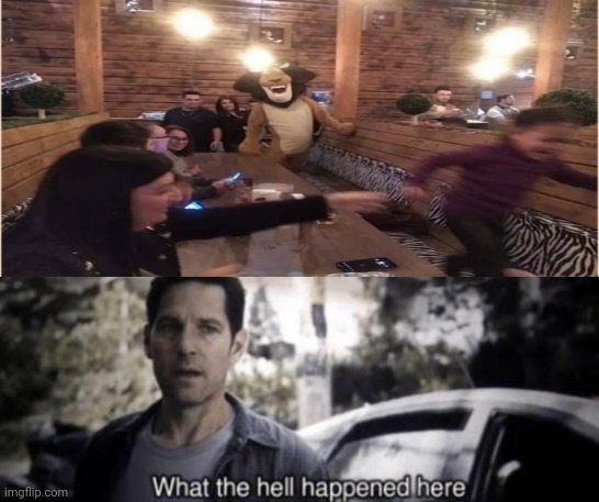 The frick? | image tagged in what the hell happened here | made w/ Imgflip meme maker