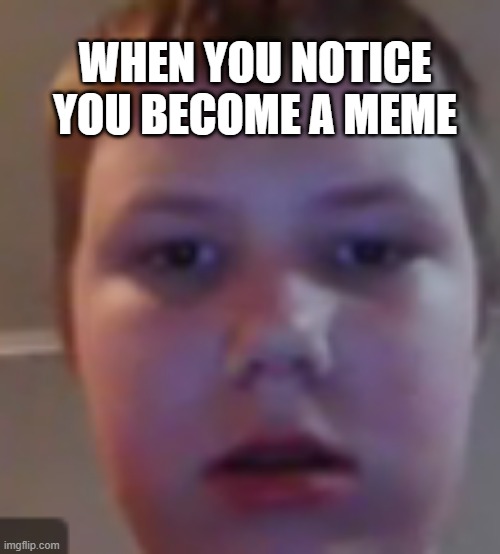 I made this myself! | WHEN YOU NOTICE YOU BECOME A MEME | image tagged in funny | made w/ Imgflip meme maker