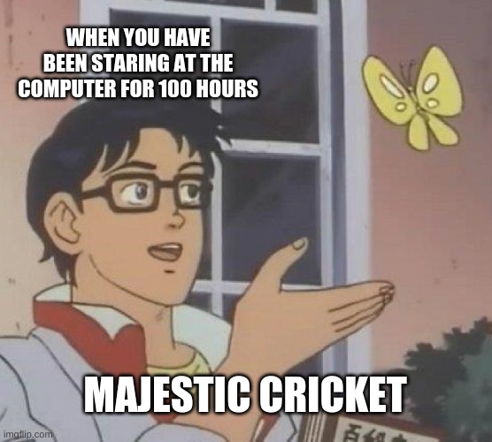 Is This A Pigeon | WHEN YOU HAVE BEEN STARING AT THE COMPUTER FOR 100 HOURS; MAJESTIC CRICKET | image tagged in memes,is this a pigeon | made w/ Imgflip meme maker