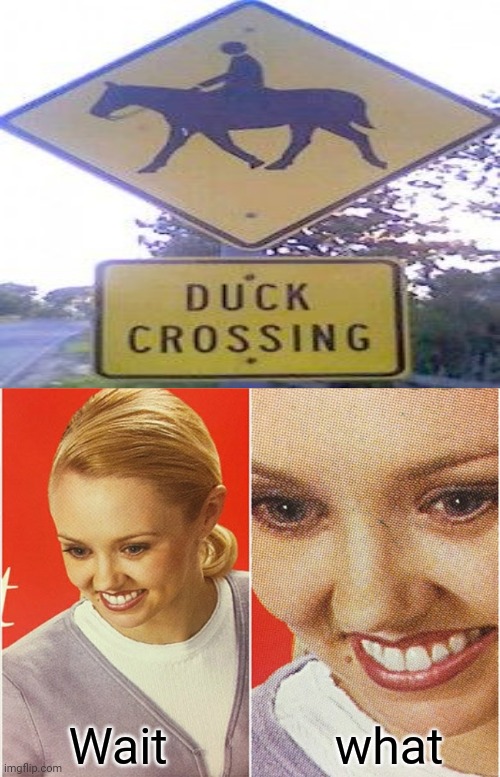 More like a horse crossing sign |  what; Wait | image tagged in wait what,reposts,repost,memes,you had one job,signs | made w/ Imgflip meme maker