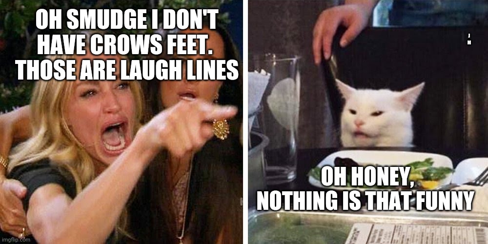 Smudge the cat | J M; OH SMUDGE I DON'T HAVE CROWS FEET.  THOSE ARE LAUGH LINES; OH HONEY, NOTHING IS THAT FUNNY | image tagged in smudge the cat | made w/ Imgflip meme maker