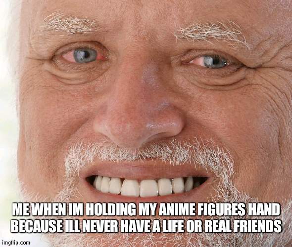 Hide the Pain Harold | ME WHEN IM HOLDING MY ANIME FIGURES HAND BECAUSE ILL NEVER HAVE A LIFE OR REAL FRIENDS | image tagged in hide the pain harold | made w/ Imgflip meme maker