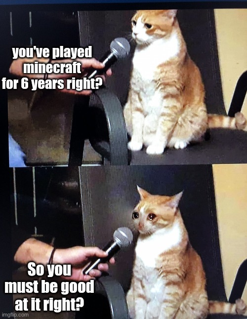 Well.... sorta | you've played minecraft for 6 years right? So you must be good at it right? | image tagged in cat interview crying | made w/ Imgflip meme maker