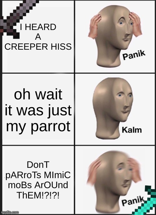 OH NO (Minecraft Meme) | I HEARD A CREEPER HISS; oh wait it was just my parrot; DonT pARroTs MImiC moBs ArOUnd ThEM!?!?! | image tagged in memes,panik kalm panik | made w/ Imgflip meme maker