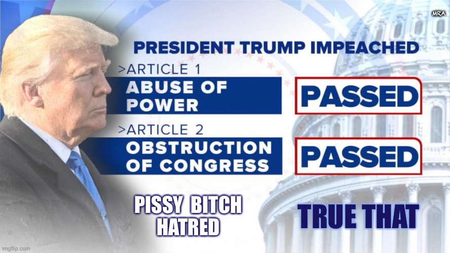 trump impeached | MRA; TRUE THAT; PISSY  BITCH
HATRED | image tagged in trump impeached | made w/ Imgflip meme maker