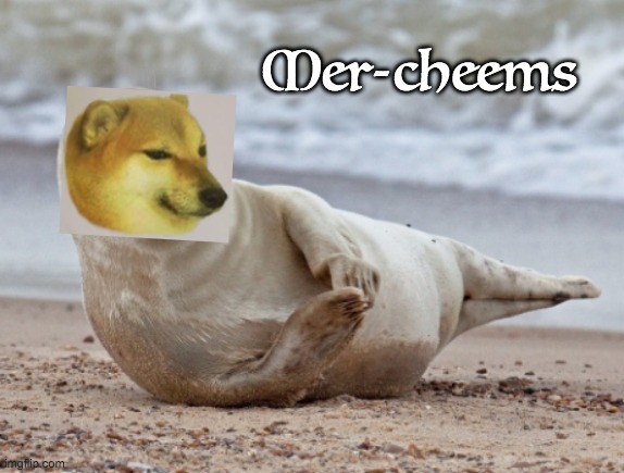 That rare and beautiful creature of the deep | Mer-cheems | image tagged in beach seal,cheems,hybrid | made w/ Imgflip meme maker