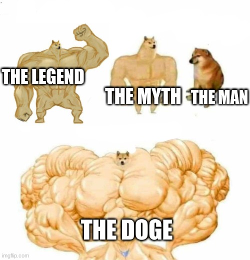 super doge | THE LEGEND; THE MYTH; THE MAN; THE DOGE | image tagged in super doge | made w/ Imgflip meme maker